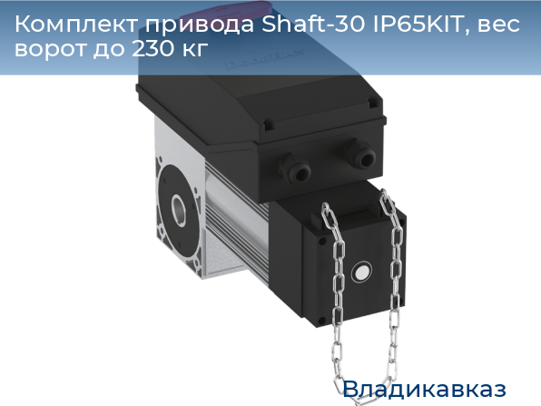 Комплект привода Shaft-30 IP65KIT, вес ворот до 230 кг, vladikavkaz.doorhan.ru