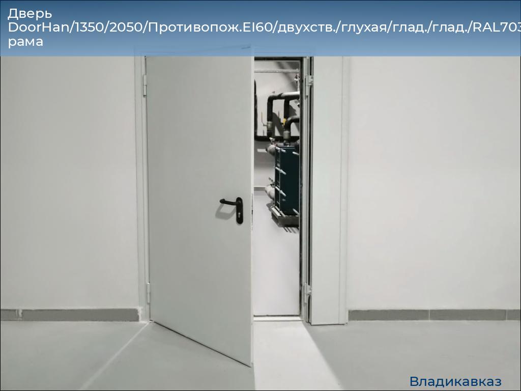 Дверь DoorHan/1350/2050/Противопож.EI60/двухств./глухая/глад./глад./RAL7035/прав./угл. рама, vladikavkaz.doorhan.ru