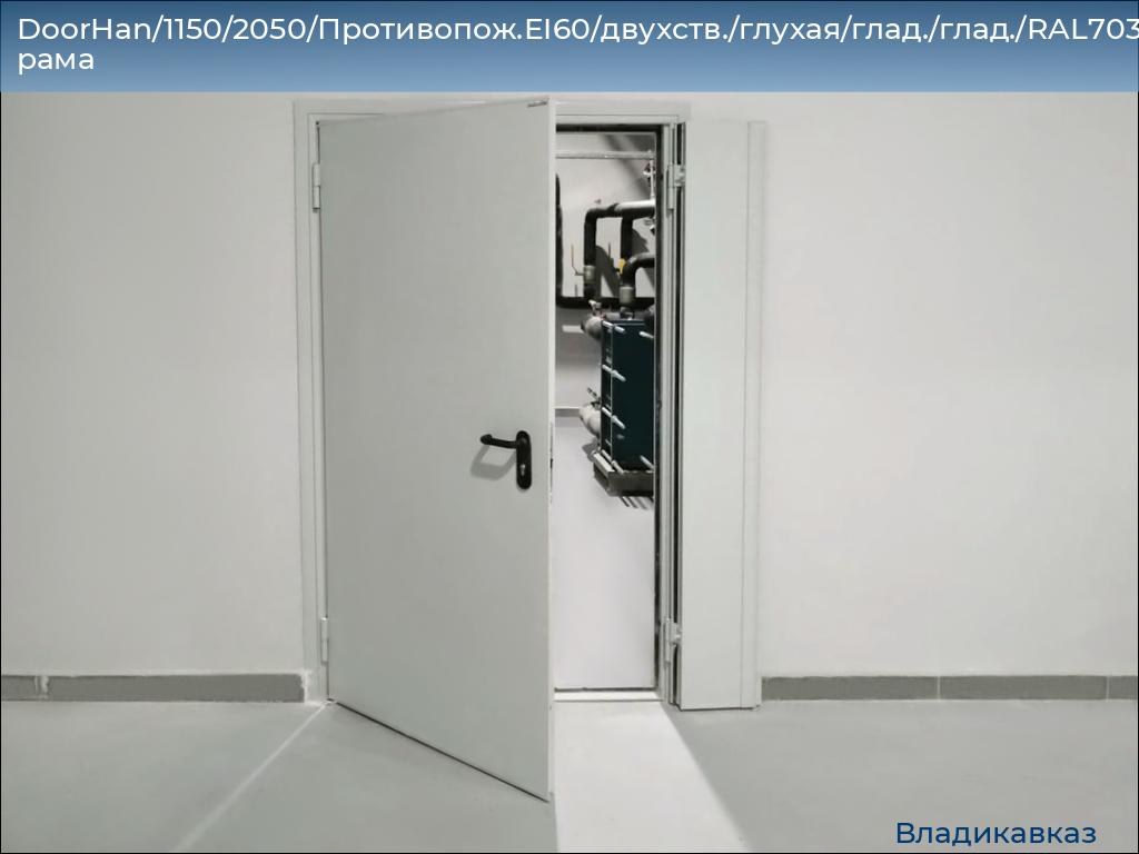 DoorHan/1150/2050/Противопож.EI60/двухств./глухая/глад./глад./RAL7035/лев./угл. рама, vladikavkaz.doorhan.ru