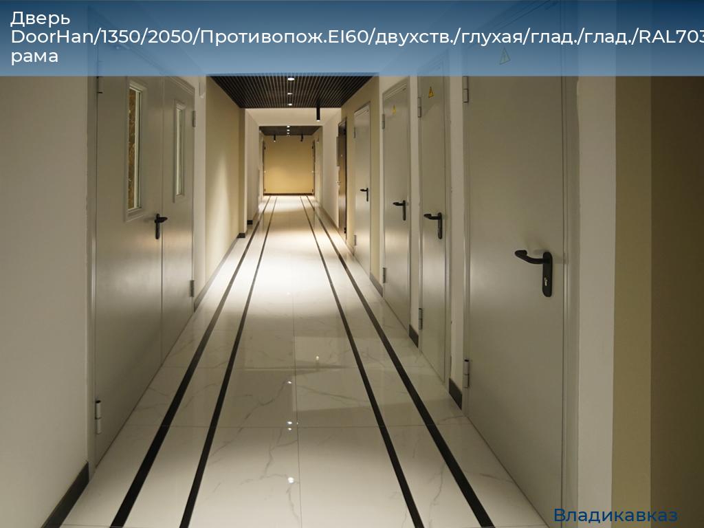 Дверь DoorHan/1350/2050/Противопож.EI60/двухств./глухая/глад./глад./RAL7035/лев./угл. рама, vladikavkaz.doorhan.ru