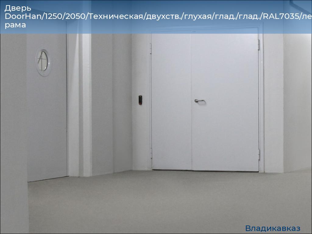 Дверь DoorHan/1250/2050/Техническая/двухств./глухая/глад./глад./RAL7035/лев./угл. рама, vladikavkaz.doorhan.ru