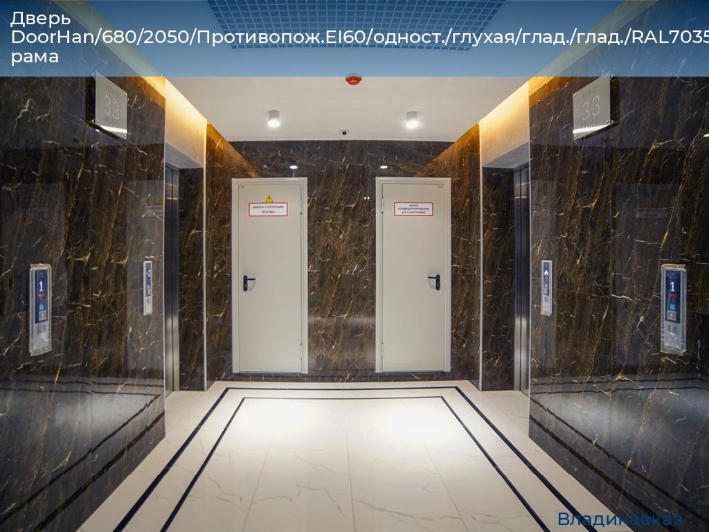 Дверь DoorHan/680/2050/Противопож.EI60/одност./глухая/глад./глад./RAL7035/лев./угл. рама, vladikavkaz.doorhan.ru