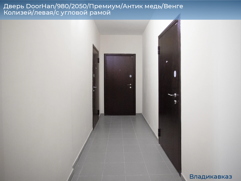 Дверь DoorHan/980/2050/Премиум/Антик медь/Венге Колизей/левая/с угловой рамой, vladikavkaz.doorhan.ru