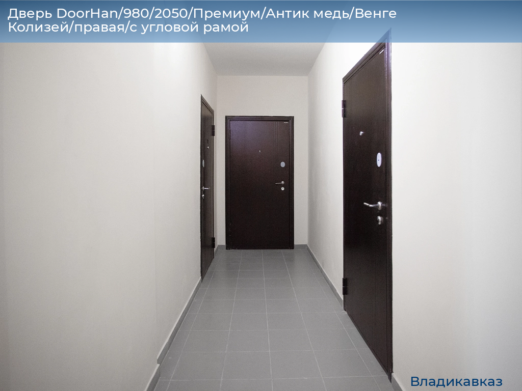 Дверь DoorHan/980/2050/Премиум/Антик медь/Венге Колизей/правая/с угловой рамой, vladikavkaz.doorhan.ru