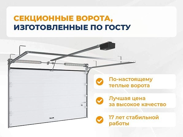 Cекционные ворота 3400х2050 мм коричнево-красные DoorHan RSD02, vladikavkaz.doorhan.ru